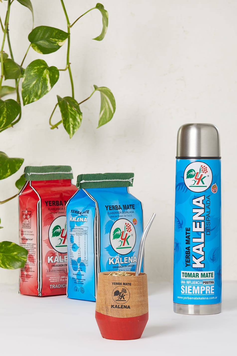 Yerba mate tradicional vs despalada: ¿cuál es la diferencia y cuál es para vos?